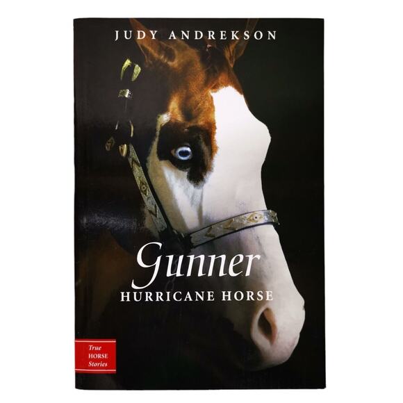 Gunner: Hurricane Horse by Andrekson Judy - Picture 2 of 4